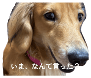 862898284