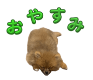 862898465