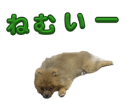 862898513