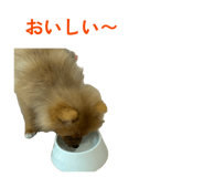 862898518