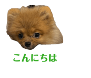 862898519