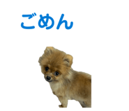 862898520