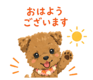 862900217