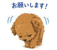 862900220