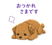 862900221