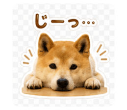 862901620