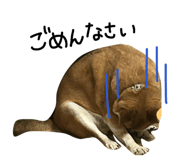 862902097