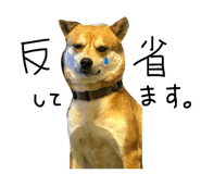 862902098