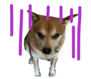 862902106