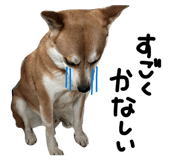 862902108