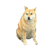 862902109