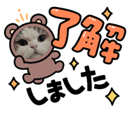 862902529