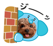 862902882