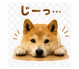 862902952