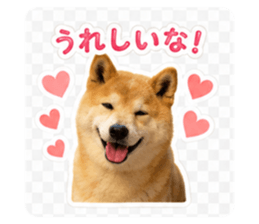 862902953