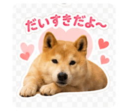 862902957