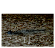 862904354