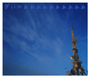 862904356