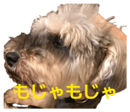 862905152