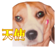 862905171