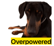 862905173