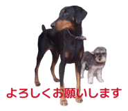 862905174