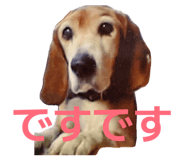862905182