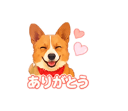 862906899