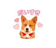 862906906