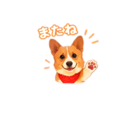 862906909