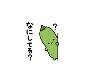 862908492