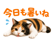 862909065
