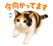 862909092