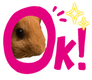 862910609