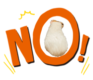 862910610
