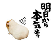 862910618