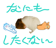 862910624