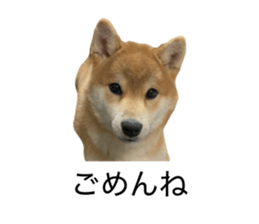 862912587