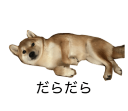862912600