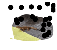 862916867