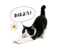862917165