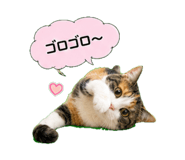 862917762