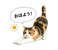 862917765