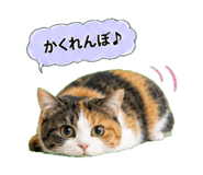 862917774