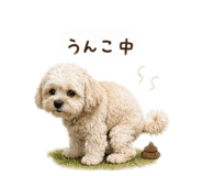 862918442