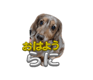 862918761