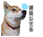 862919010