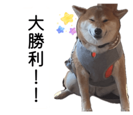 862919012
