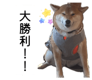 862919012