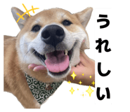 862919013